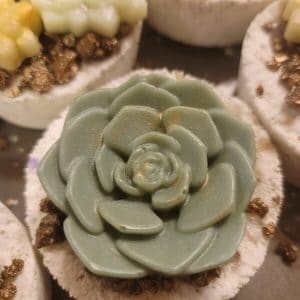 Artisan Succulent Plan Bath Bombs